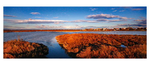 Les étangs de Maugio, la réserve du grec. Carte postale panoramique 10x23 cm - Photographe: Marianne Raous