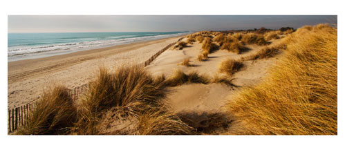 Plage Carnon- La Grande Motte - Les dunes du Grand Travers - Carte postale panoramique 10x23 cm - Photographe: Marianne Raous