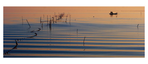 Pécheur d'anguille sur l'étang de l'Or. Carte postale panoramique 10x23 cm - Photographe: Marianne Raous
