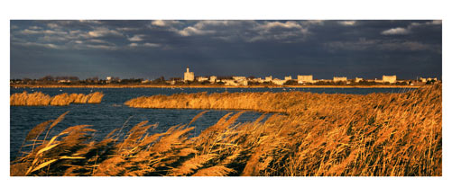 Aigues Mortes depuis les roselières de l'étang du médard - Les remparts d'aigues Mortes - Soleil couchant - La tour Constance